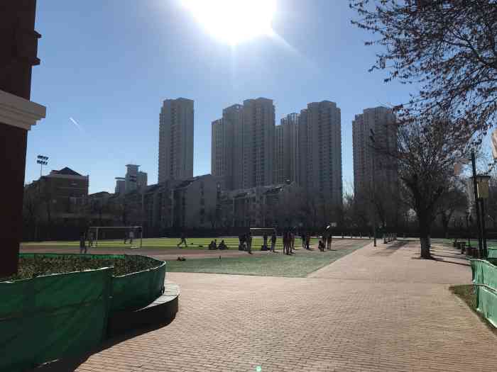 南开日新国际学校