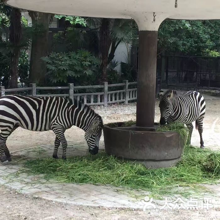 上海动物园