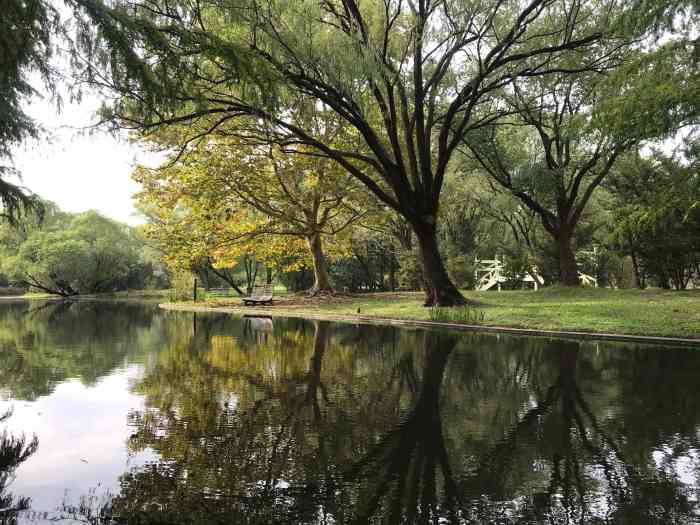 上海共青森林公园南大门停车场