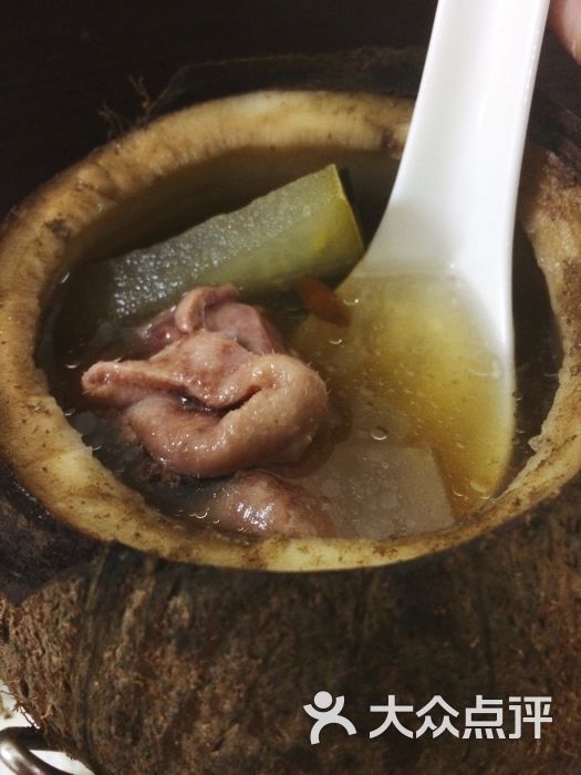 椰子冬瓜薏米炖水鸭