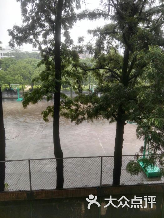福建医科大学室外篮球场图片 - 第3张