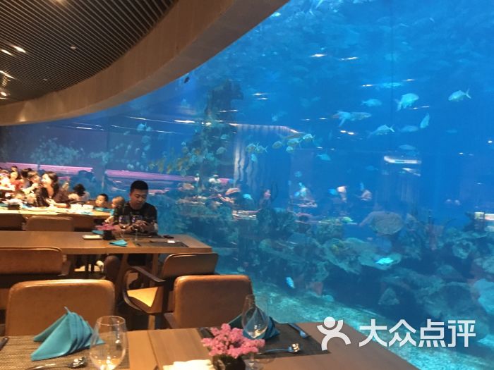 天房洲际度假酒店-海底餐厅 涛餐厅图片 - 第3张