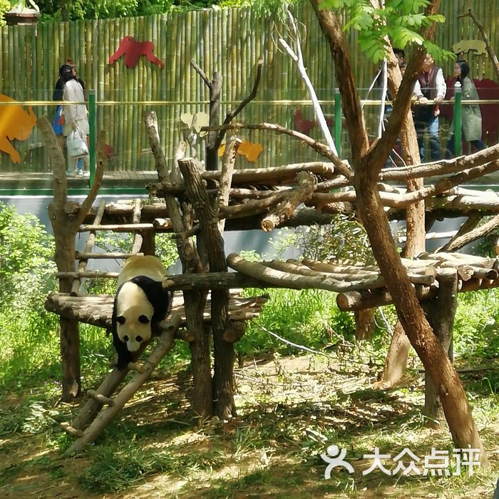 红山森林动物园