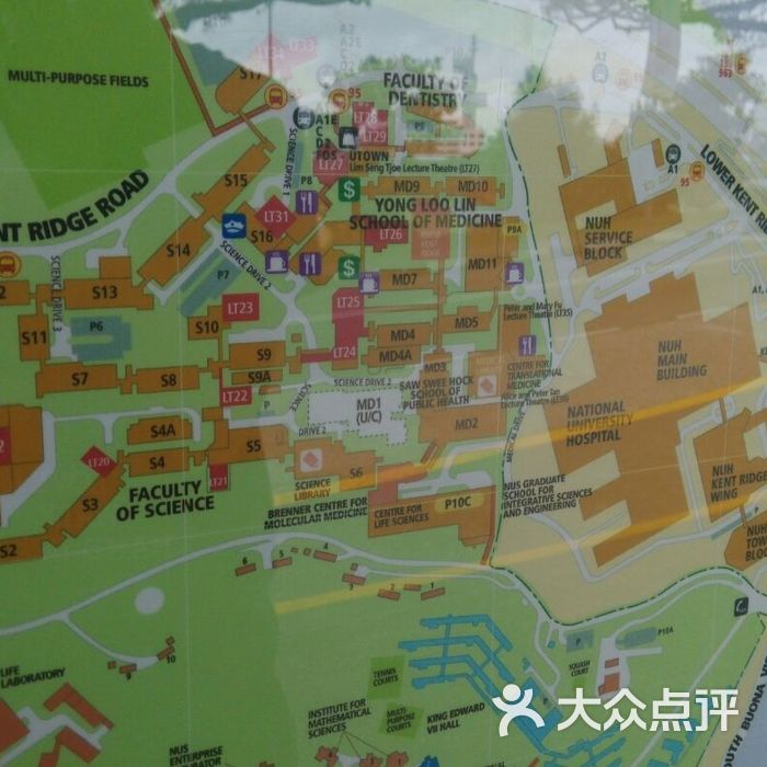 新加坡国立大学地图图片-北京大学-大众点评网