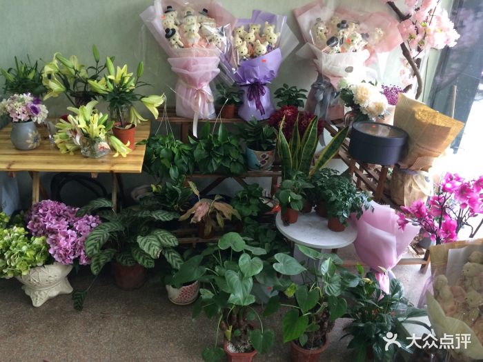 拾月花坊店-店内实拍-环境-店内实拍图片-大余县购物-大众点评网