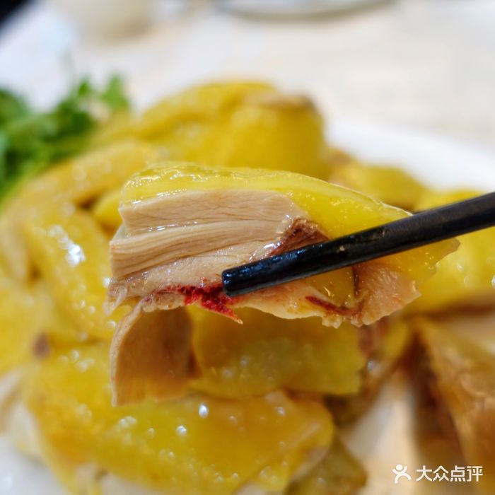 何记安铺鸡饭店-白切鸡-菜-白切鸡图片-湛江美食-大众点评网