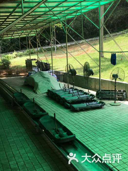 东湖旱地雪橇-东湖旱地雪橇图片-深圳休闲娱乐