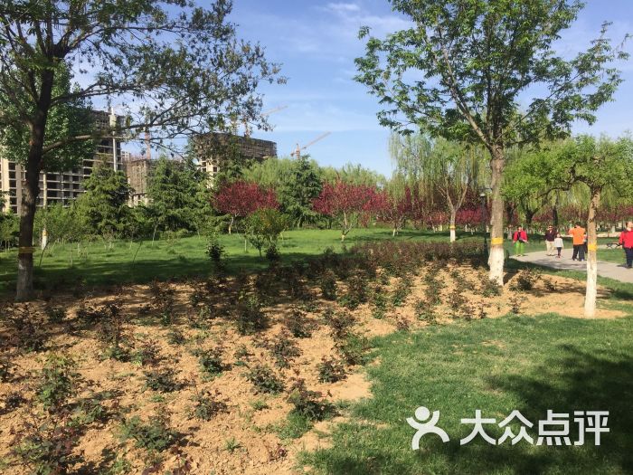 东环公园图片 第36张