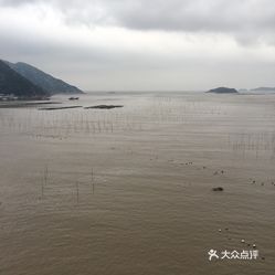 霞浦松港街道人口_霞浦松港卫生院