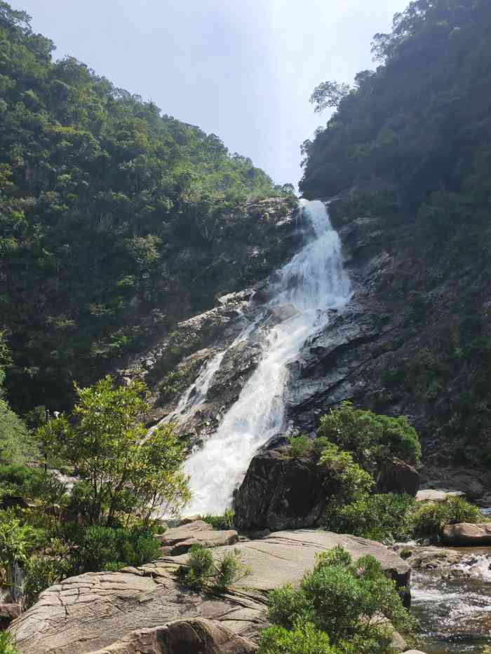 吊罗山国家森林公园