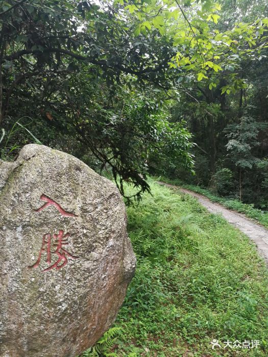 天钟山图片 第2张