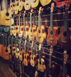 上海星光流行音乐教室的全部评价-上海