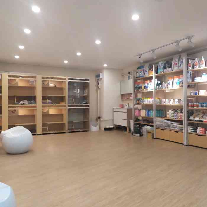 菲尔顿宠物药店(黄边店)-"【项目】洗澡环境:亮度十足