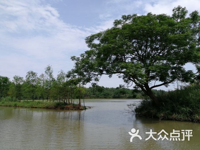 南沙湿地公园图片 - 第4张