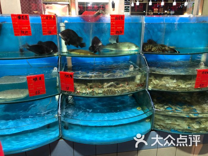 夏都宾馆海鲜城图片 - 第5张