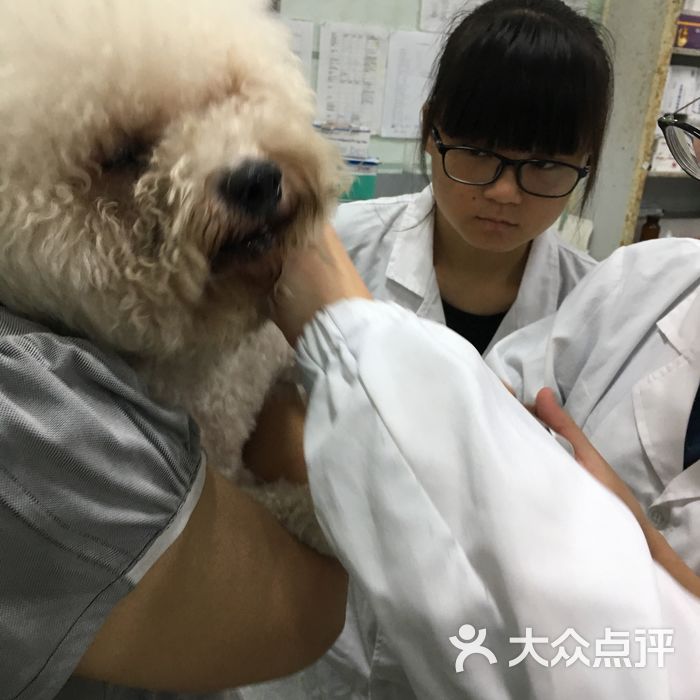 西南民族大学动物医院