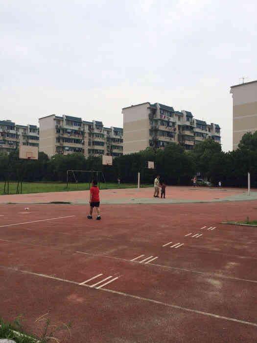 朝晖中学江心岛校区羽毛球场