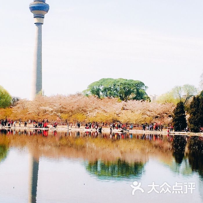 玉渊潭公园