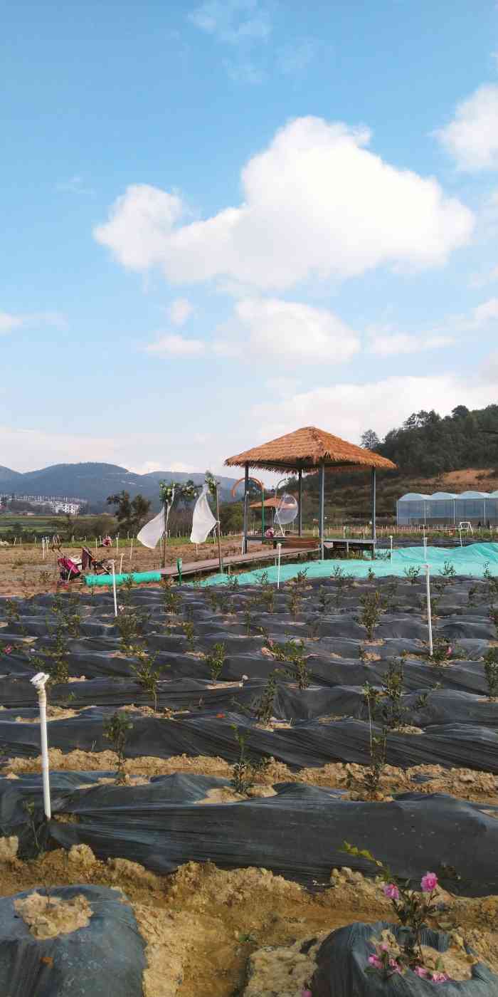 七号田庄就在玉溪巿红塔区我们从研和镇坐12路在去牟溪冲路边下然后在