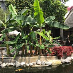 【猪肉婆私房菜】电话_地址_价格_营业时间_