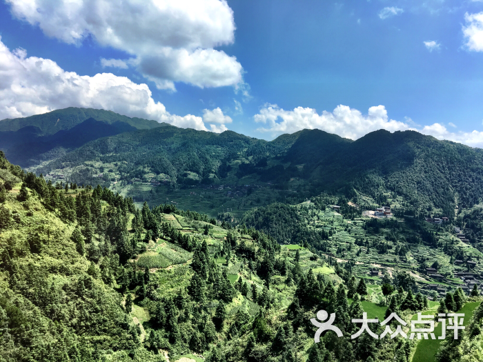 雷公山国家森林公园图片 - 第26张
