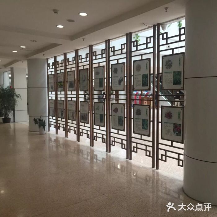 宁波市中医院图片