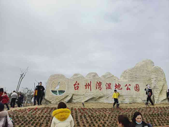 台州湾湿地公园-"春节在姐姐家,每天被带着到处玩,这个湿地.