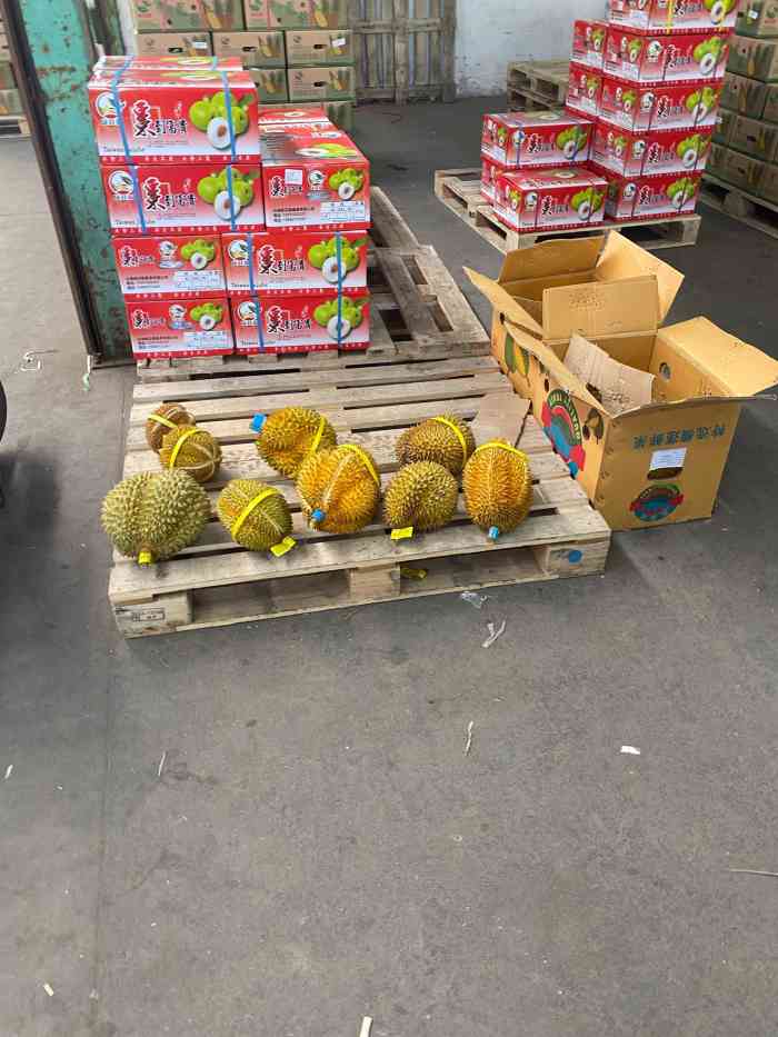 绿庄园商贸·台湾水果朝阳集散中心"朝阳水果批发市场在金桥市场对面