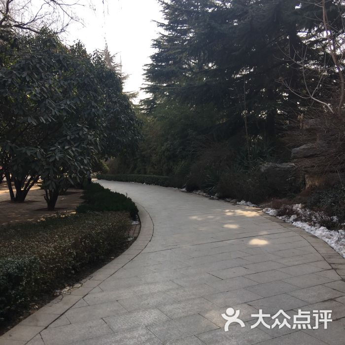 铝城公园-图片-上街区周边游-大众点评网