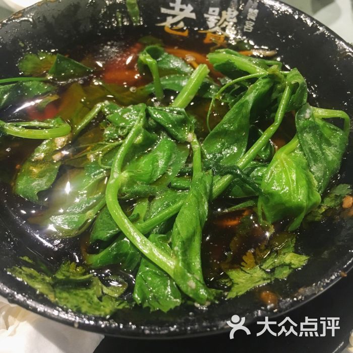 老饕火锅豌豆尖图片 - 第3张
