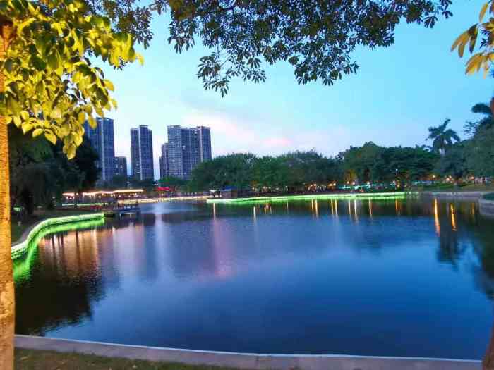 石龙城市公园-"之前来石龙没走过这里感觉晚上过来就.