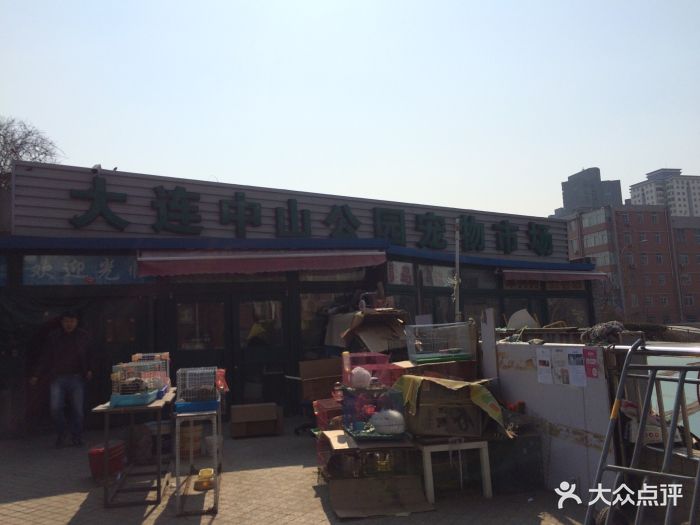 大连中山公园宠物市场图片 - 第11张