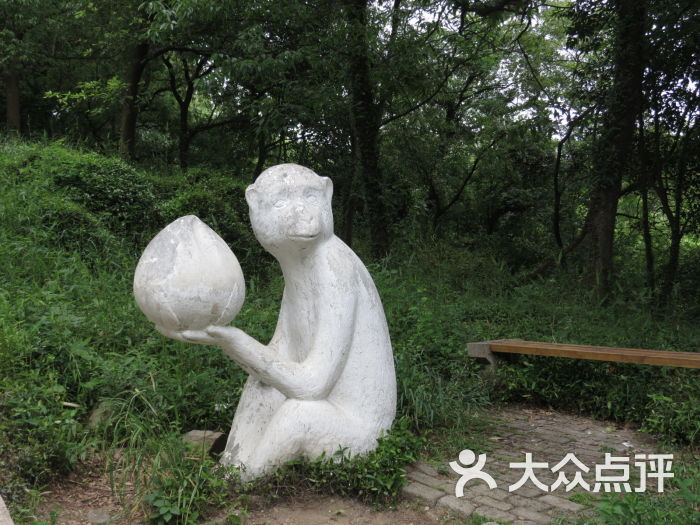 何山公园-图片-苏州周边游-大众点评网