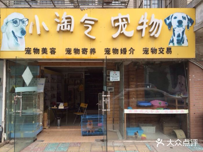 小淘气宠物店图片