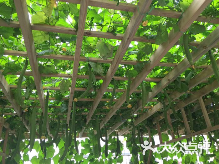 第四届北京农业嘉年华(北京昌平草莓博览园)-张