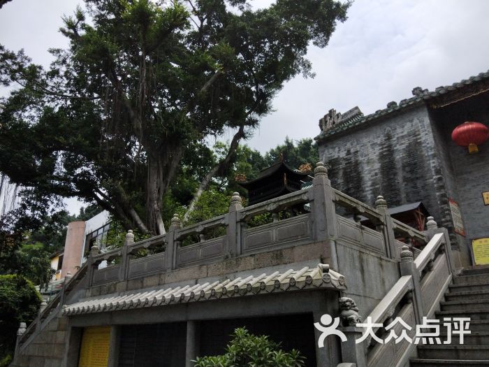 西樵山森林公园白云古寺景区图片 - 第2张