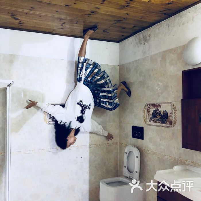 上海波兰倒置屋