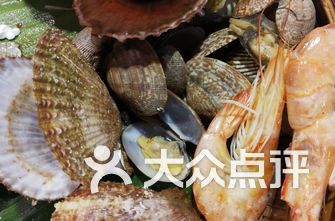 海螺排名_海螺简笔画(2)