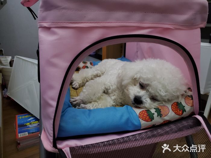 西南民族大学动物医院图片