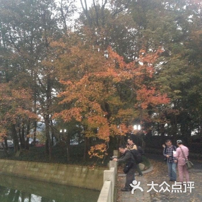 指南村天池一方农家乐
