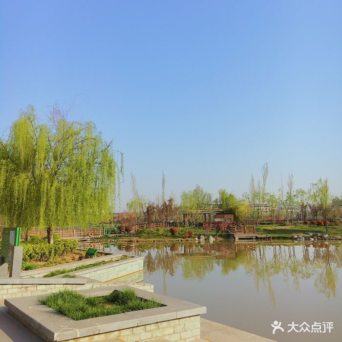 桃花潭湿地公园图片 - 第454张