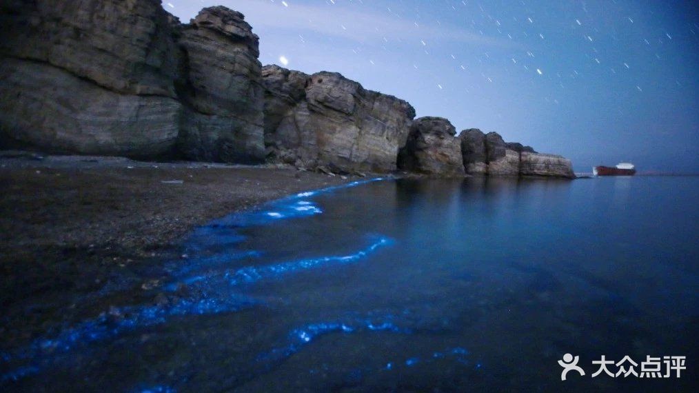 大黑石荧光海滩图片