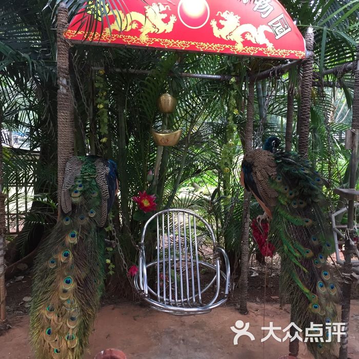 金牛岭动物园的全部评价-海口-大众点评网
