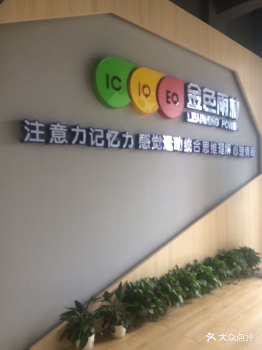 金色雨林图片