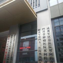 成都耳鼻喉排名_成都仁品耳鼻喉医院(2)