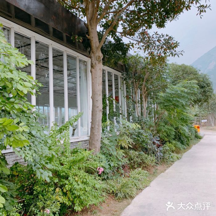 东篱下-图片-温州休闲娱乐-大众点评网