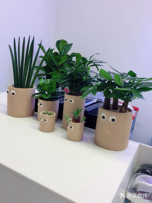 需要你,我是一只鱼,水里的空气是你小心眼.-无