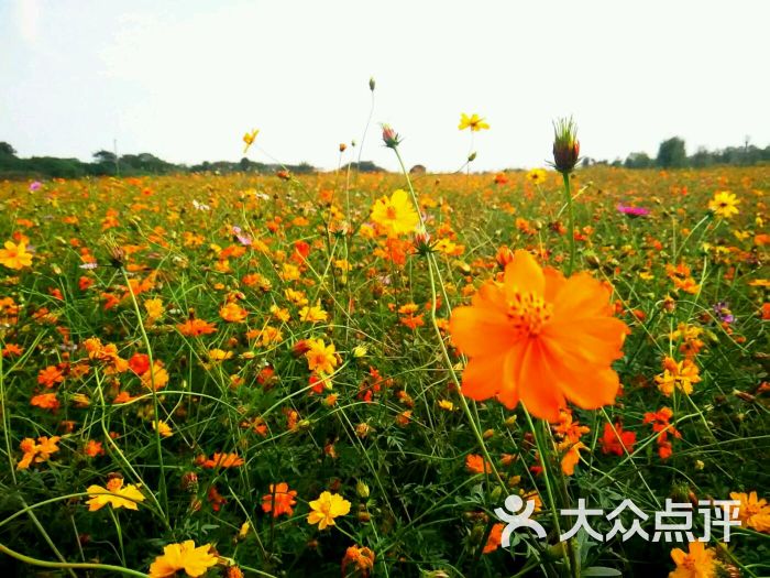 马场山-图片-南京周边游-大众点评网