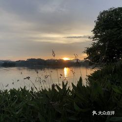 树雨猜一成语_木猜一成语疯狂看图(2)