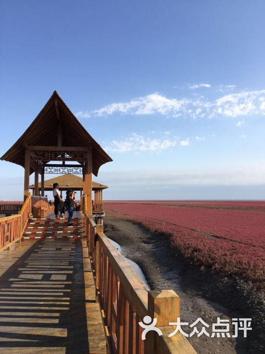 红海滩国家风景廊道向海同心图片 - 第6张